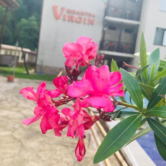 Family Hotel Virgin Ribaritsa Exterior foto